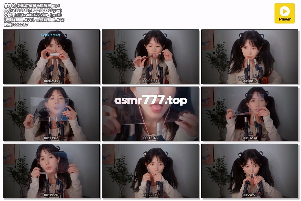 芝麻对辣 双马尾舔屏-ASMR资源阁