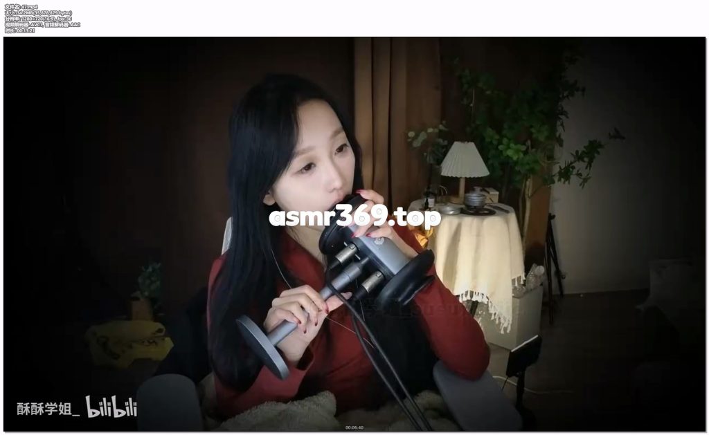 47.mp4-ASMR资源阁