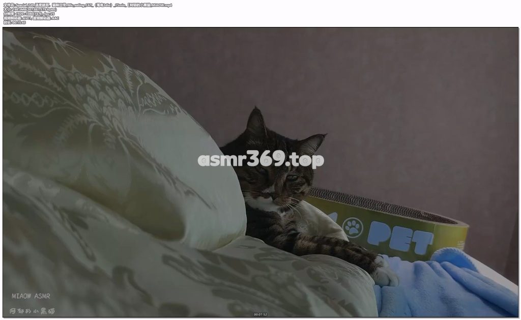 Special_249_温柔舔耳，猫咪日常Mic_eating_CAT（笔电3dio）15min【阿郁的小黑猫_MIAOW.mp4-ASMR资源阁