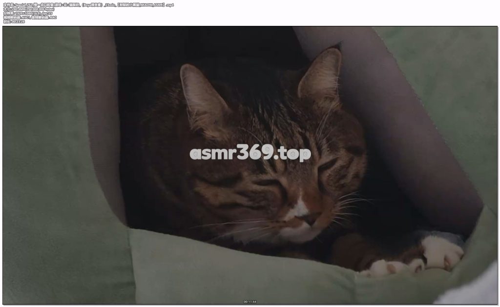Special_262_慢一点口腔音游戏+云+猫踩奶（Boya领夹麦）23min【阿郁的小黑猫_MIAOW_ASMR】.mp4-ASMR资源阁