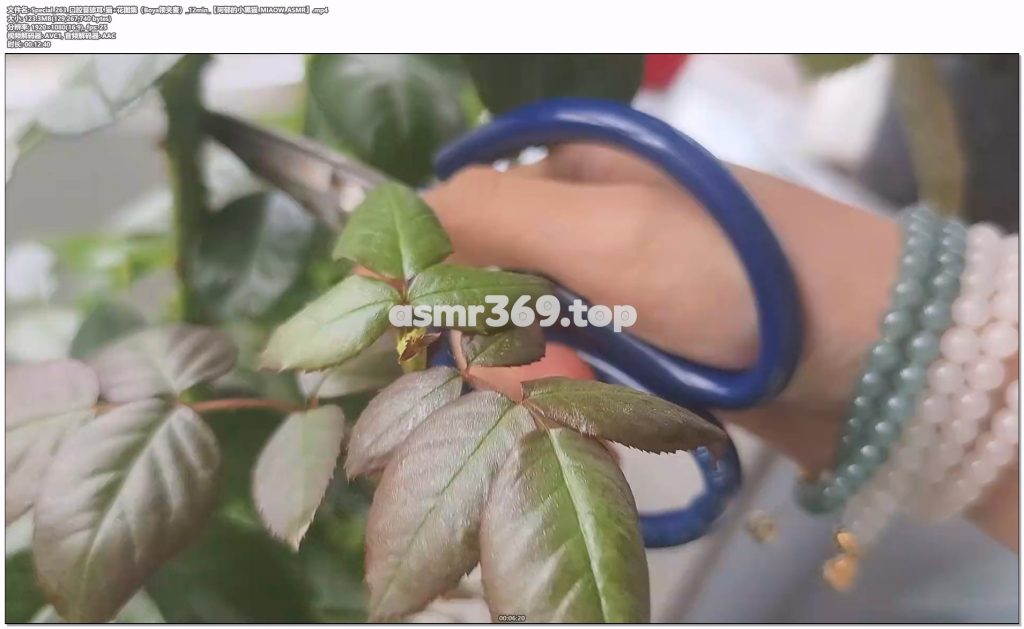 Special_263_口腔音舔耳猫+花图集（Boya领夹麦）_12min【阿郁的小黑猫_MIAOW_ASMR】.mp4-ASMR资源阁