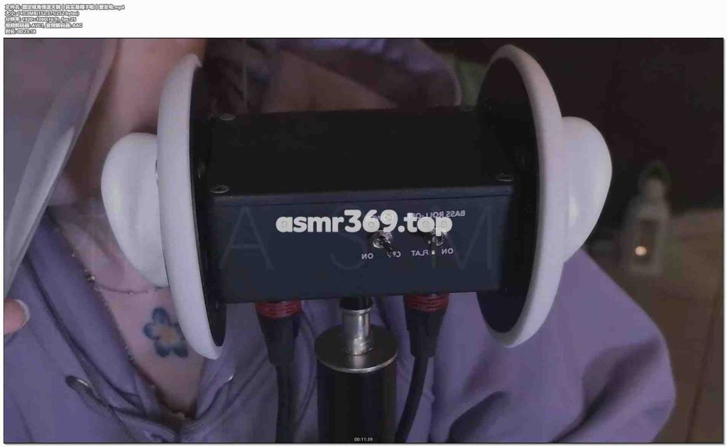 固定视角慢速天鹅丨其实是椰子啦丨爱发电.mp4-ASMR资源阁